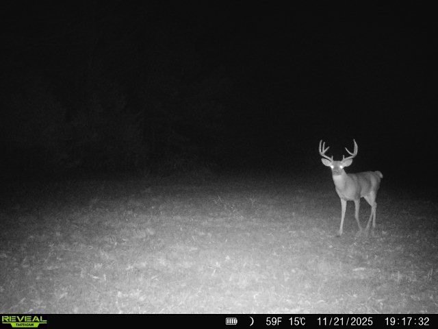 Picture 15