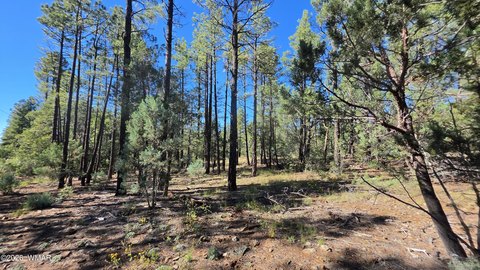 Land, Lakeside, AZ