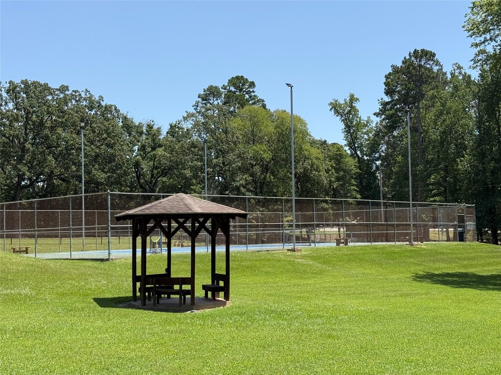 Picture 8