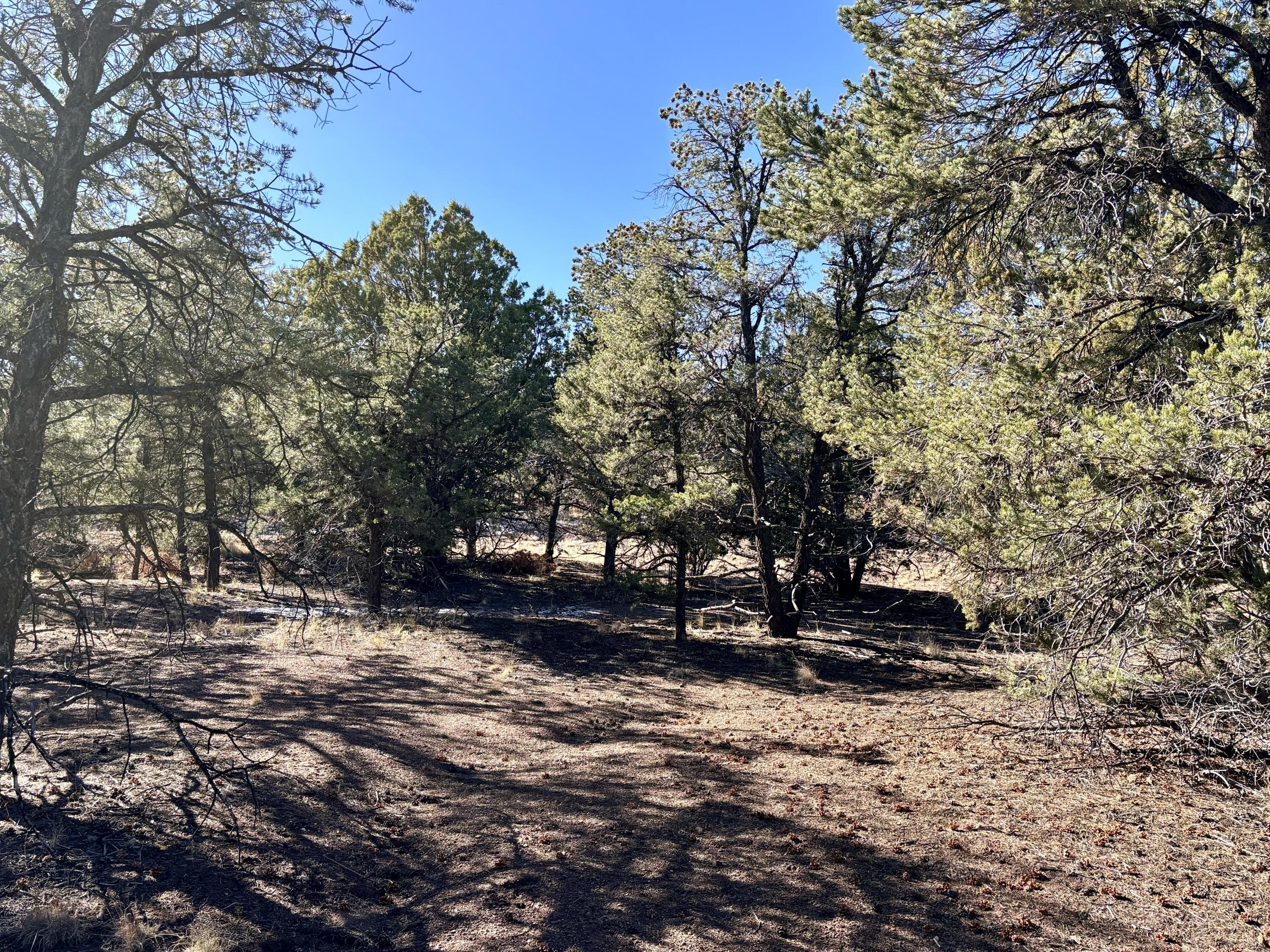 Land in Quiet Datil Subdivision