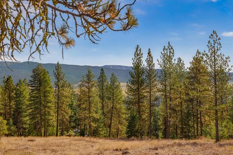 Land, New Meadows, ID