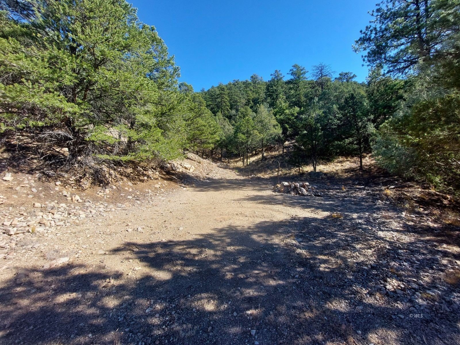 Colorado Mountain Land with Views
