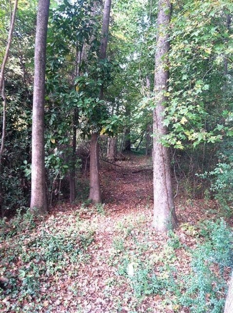 Picture 5