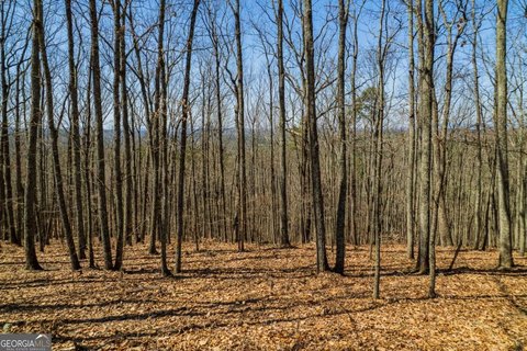 Talking Rock Mountain View Lot