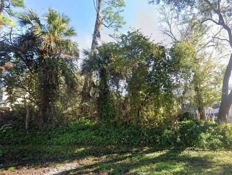 Land, EDGEWATER, FL