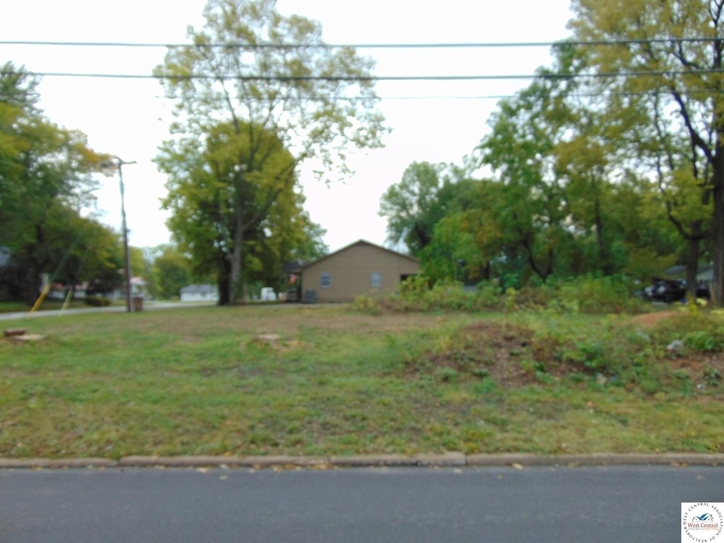 Picture 3
