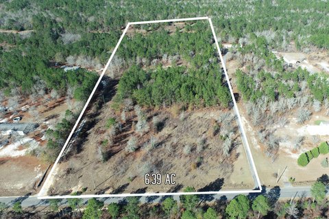 6+ Acres of Wooded Land