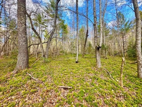 Land, Sunbright, TN