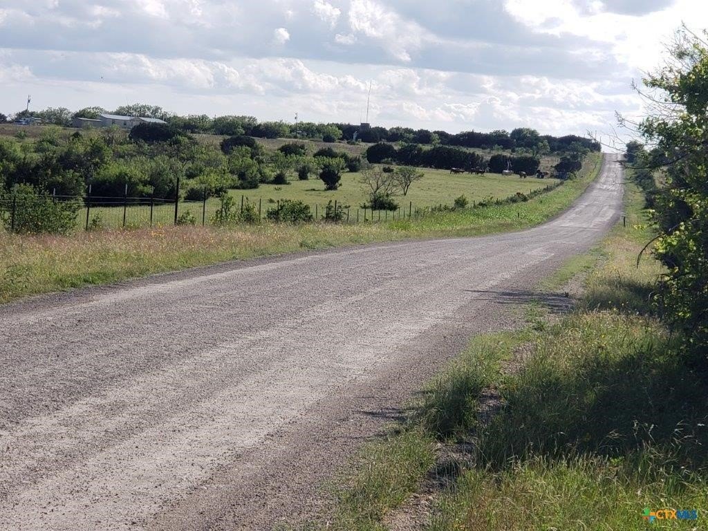 Picture 6