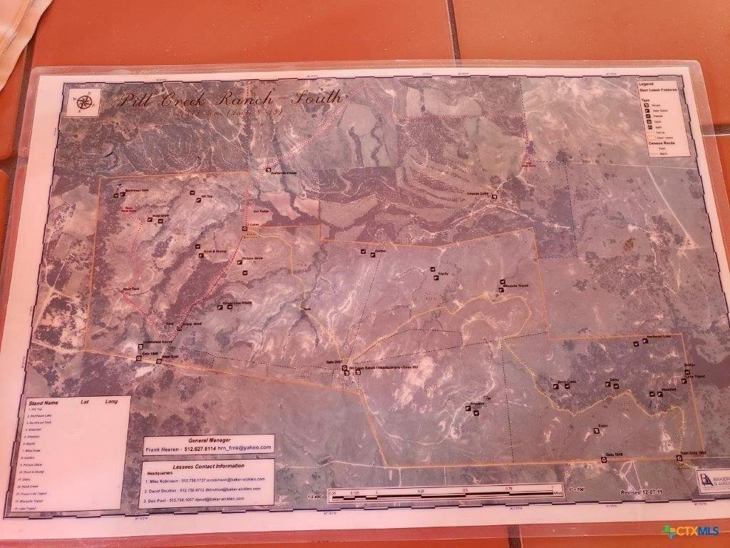 Picture 8