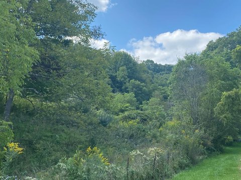 LAND - Bluefield, VA