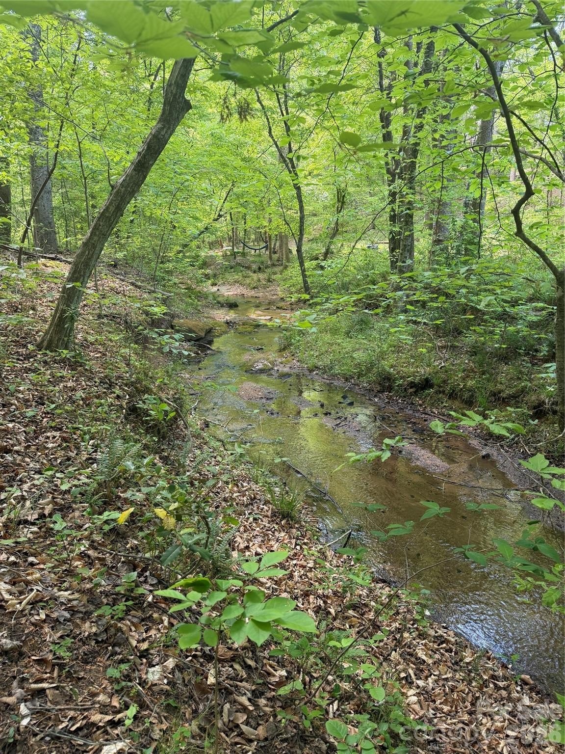 Wooded Lot in Clearwater Creek