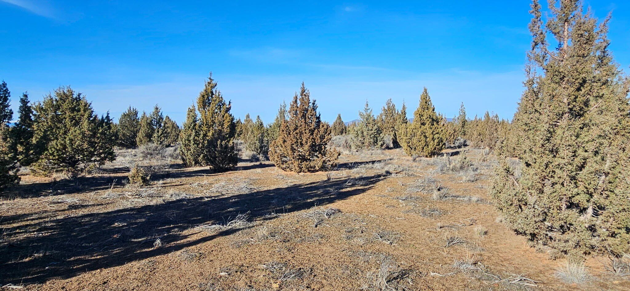 Prineville Recreational Land For Sale