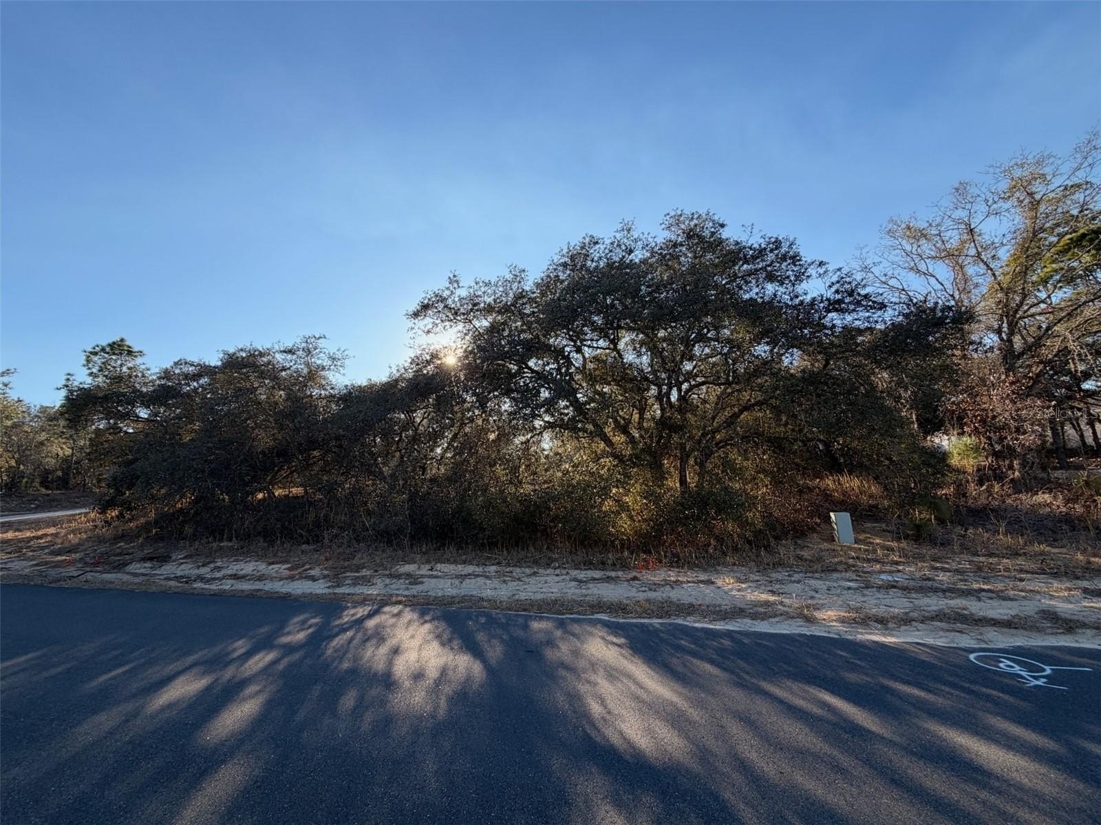 Vacant Corner Lot in Citrus