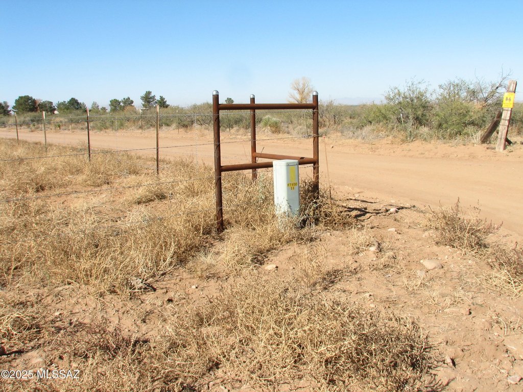 Picture 11