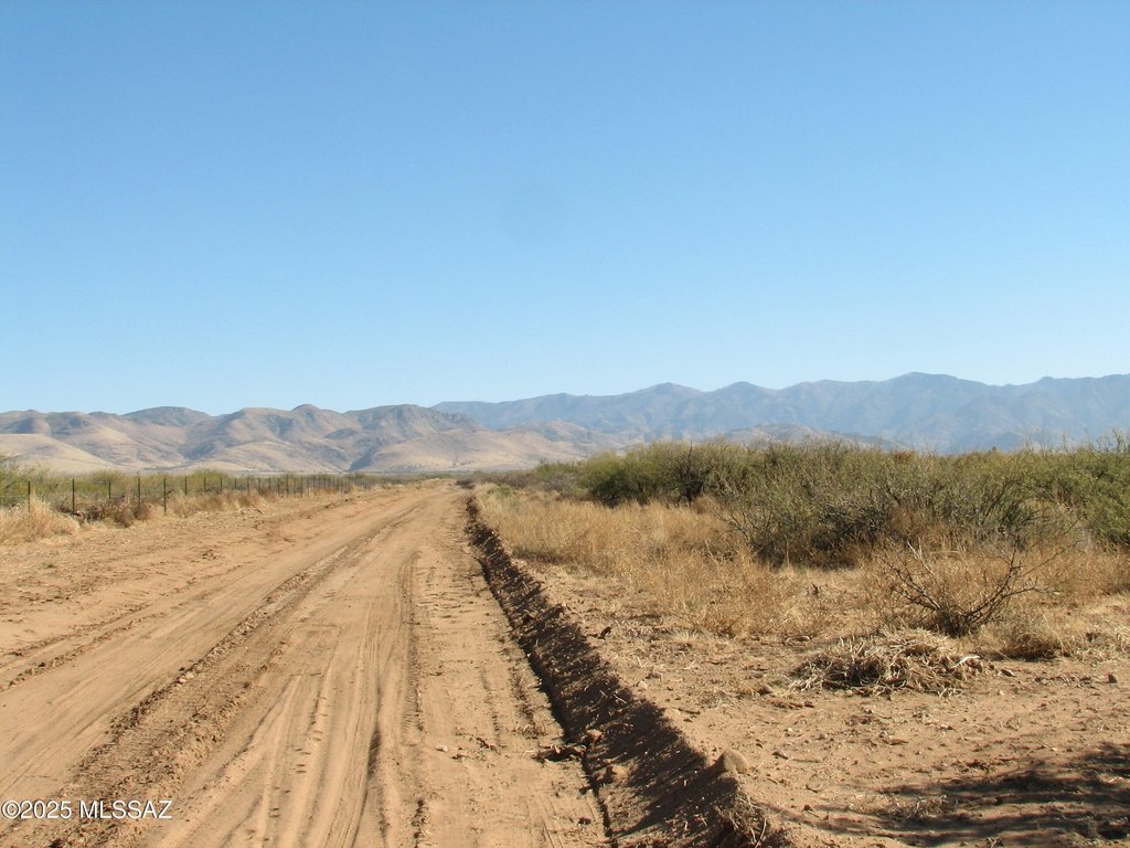 Picture 9