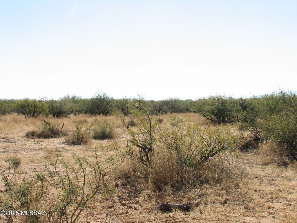 Picture 7