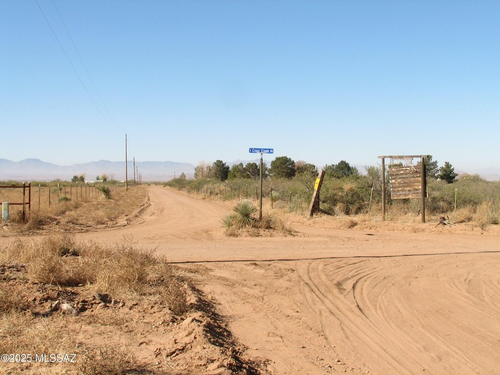 Picture 8