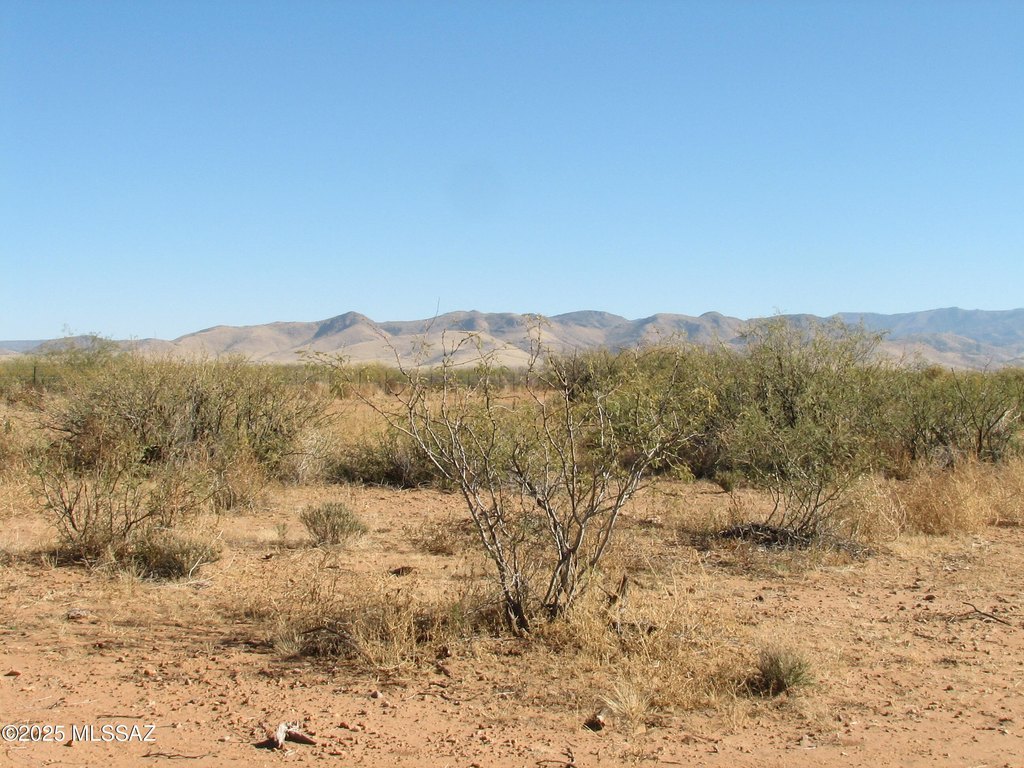 Picture 6