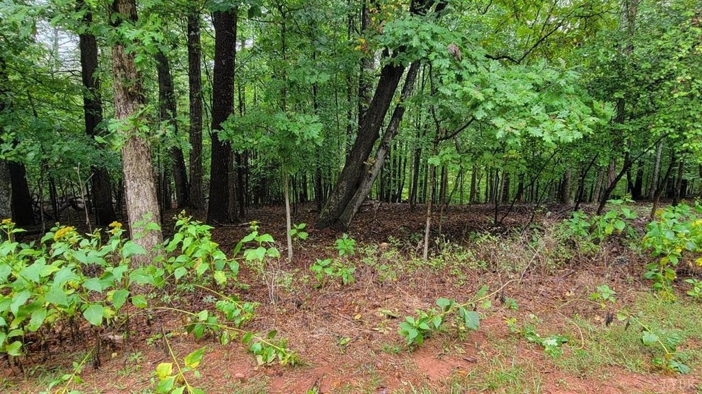 25 Lot Gap Brg Rd, Moneta, VA 24121 - Land for sale - Realmo