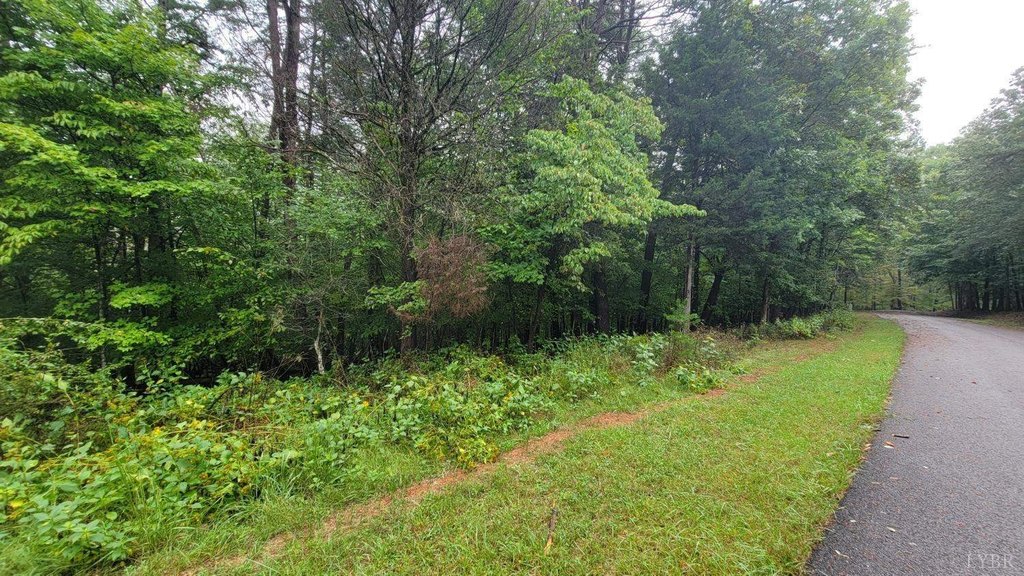 25 Lot Gap Brg Rd, Moneta, VA 24121 - Land for sale - Realmo