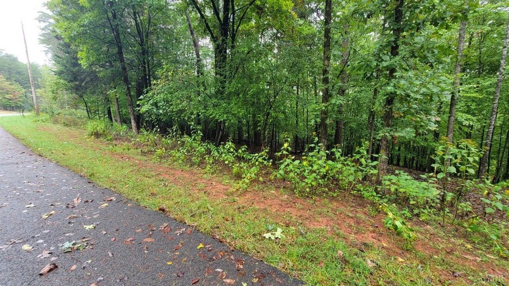 25 Lot Gap Brg Rd, Moneta, VA 24121 - Land for sale - Realmo