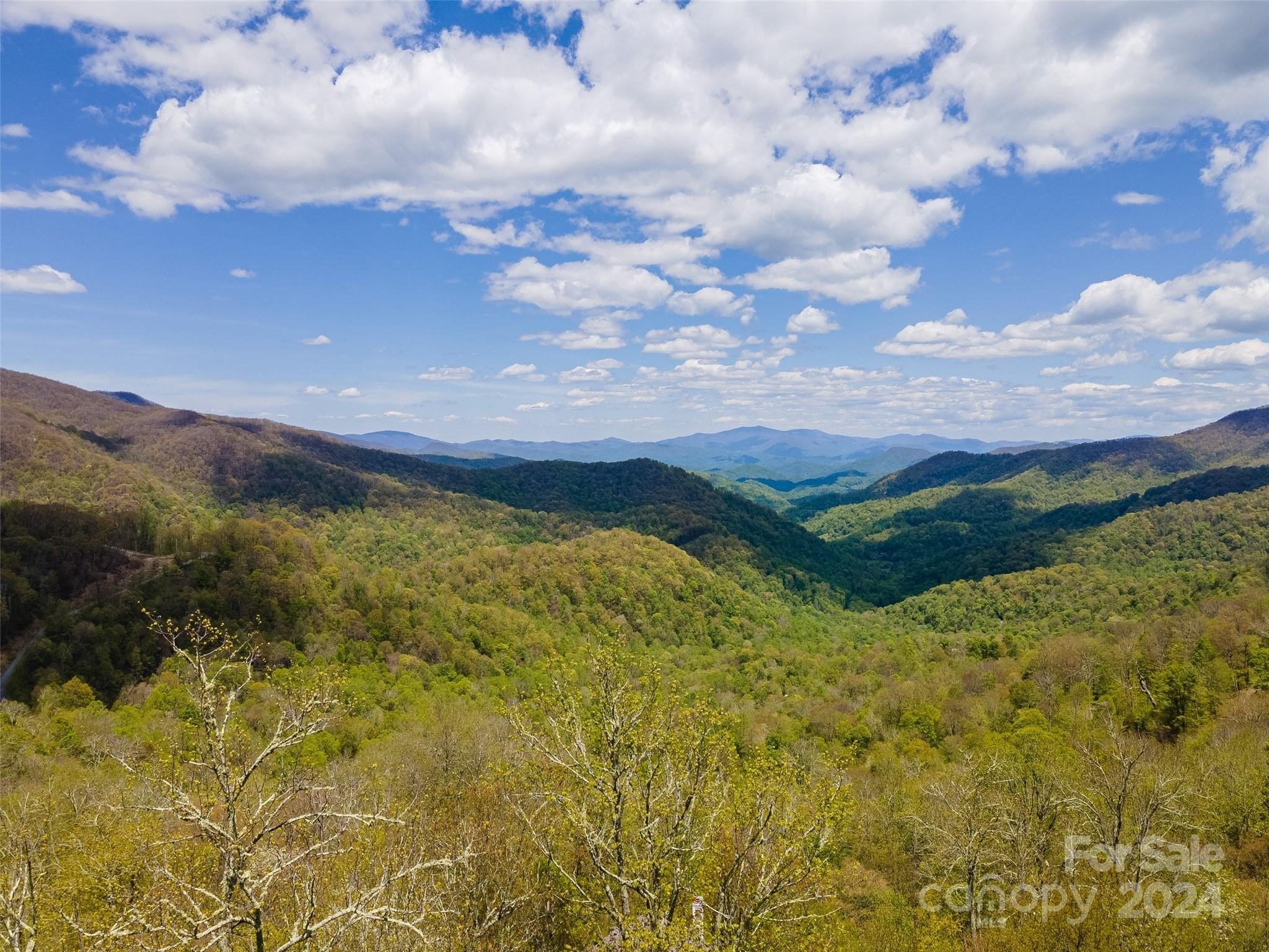Mountain View Land in Mars Hill