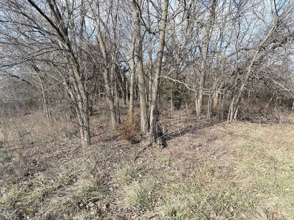 Picture 10