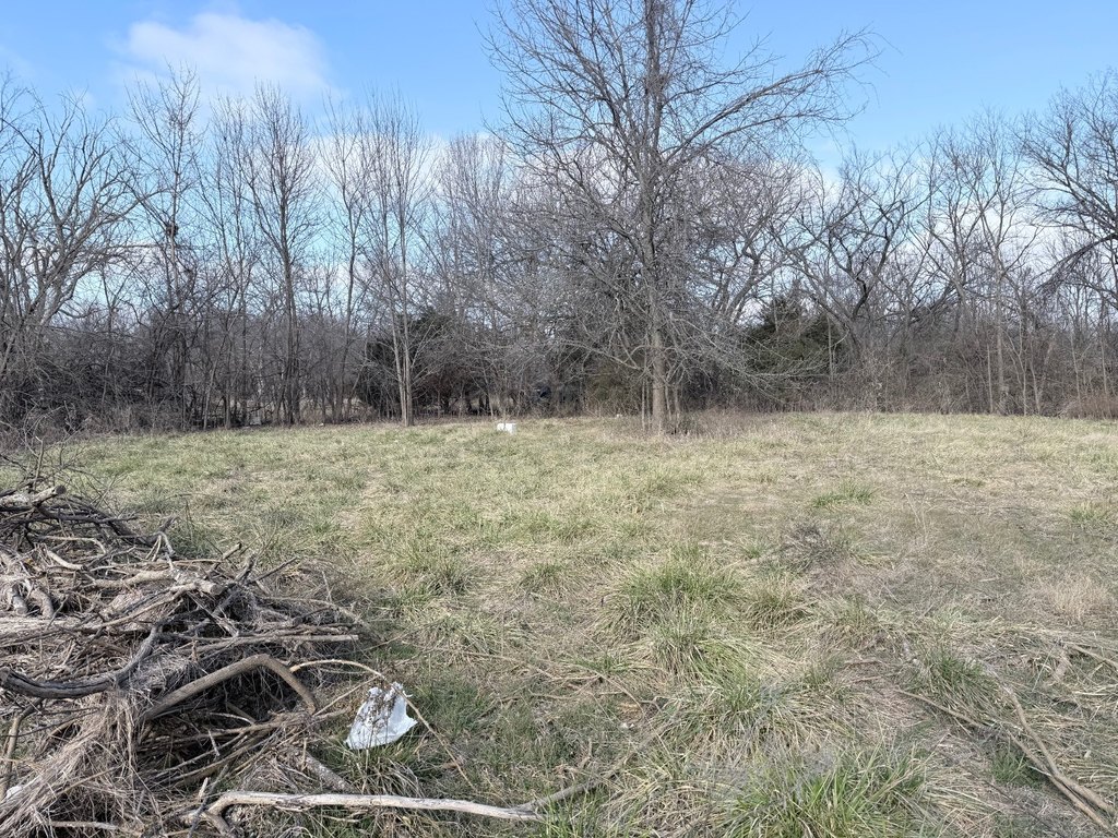 Picture 2