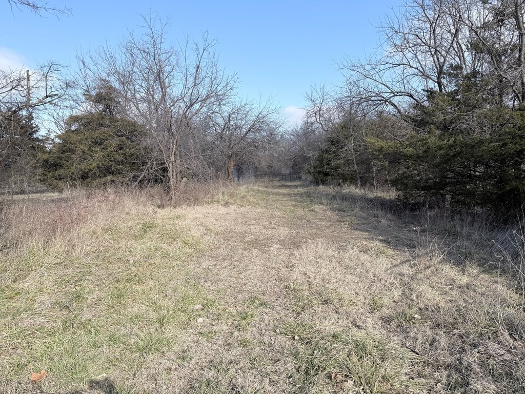 Picture 3