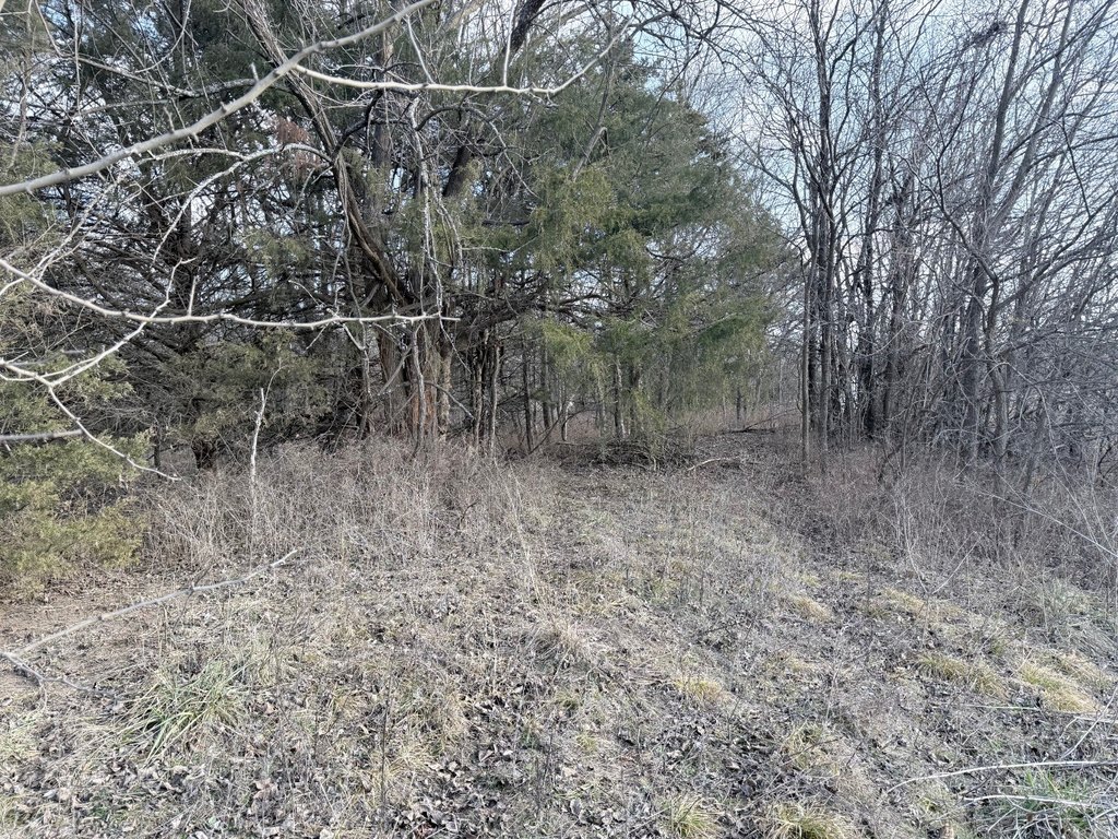 Picture 7