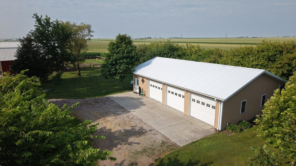 Picture 19
