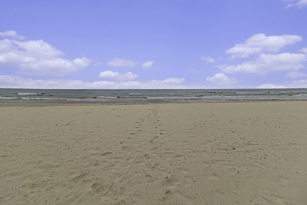 Picture 6