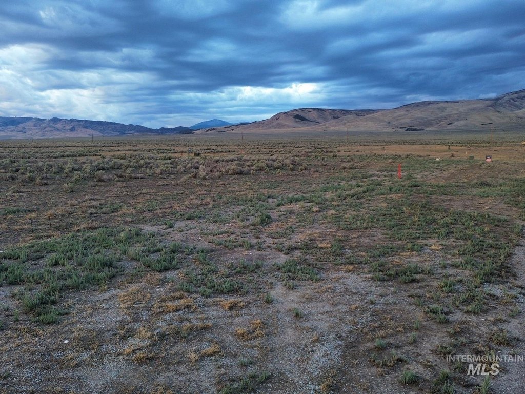 Picture 14