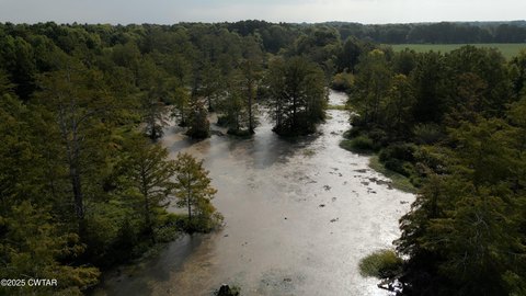 Exceptional Hunting Property Near Tigrett WMA