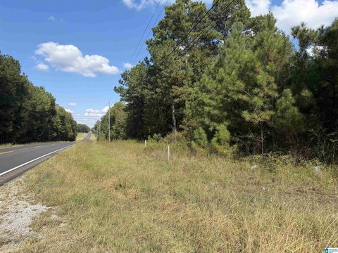 LAND/LOTS, LAFAYETTE, AL