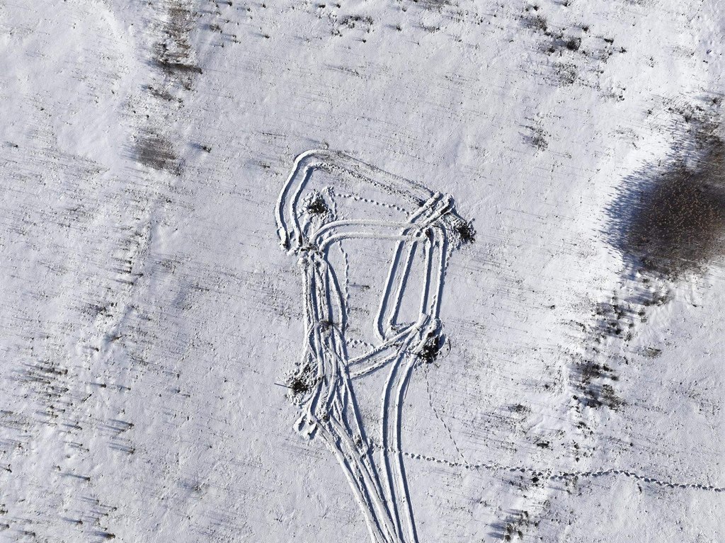 Picture 26