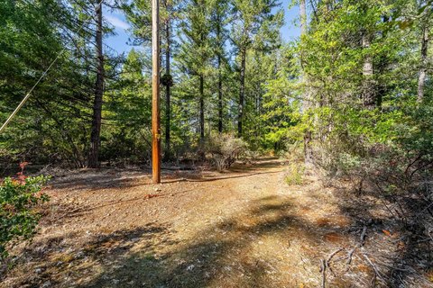 Land, Cave Junction, OR