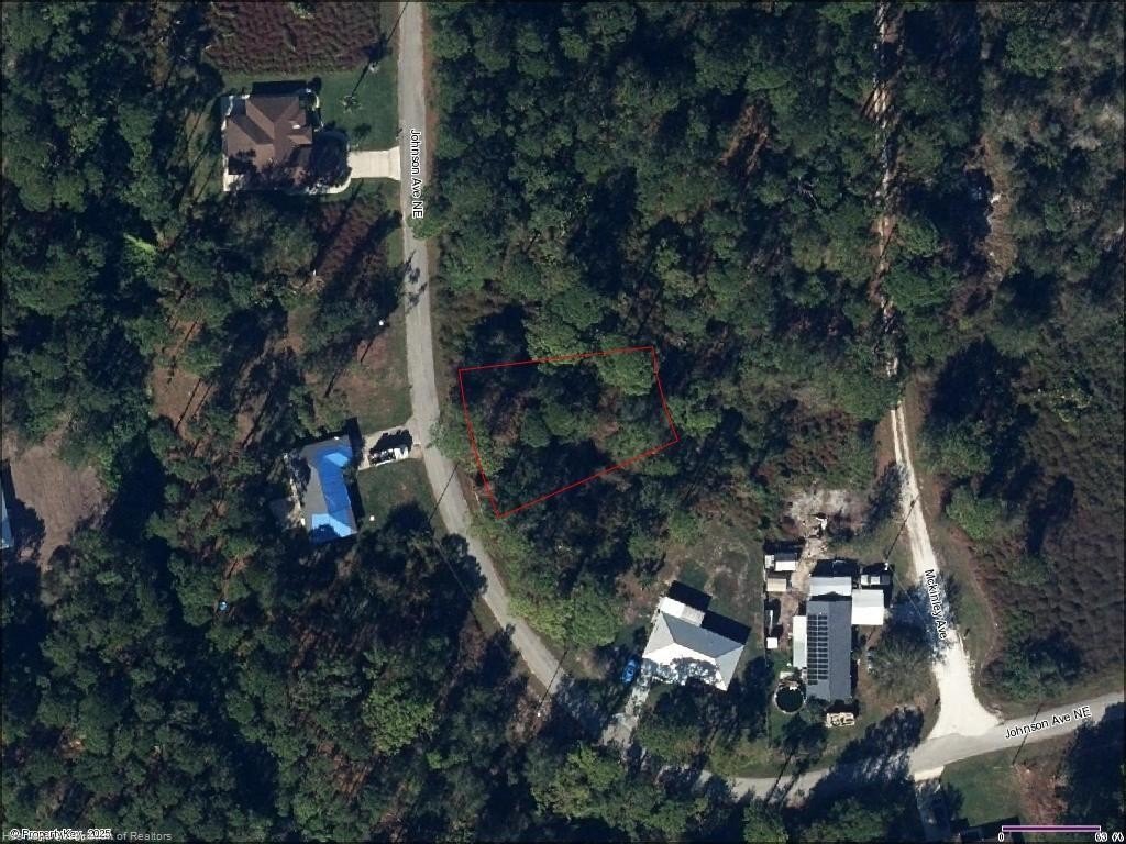 Picture 3