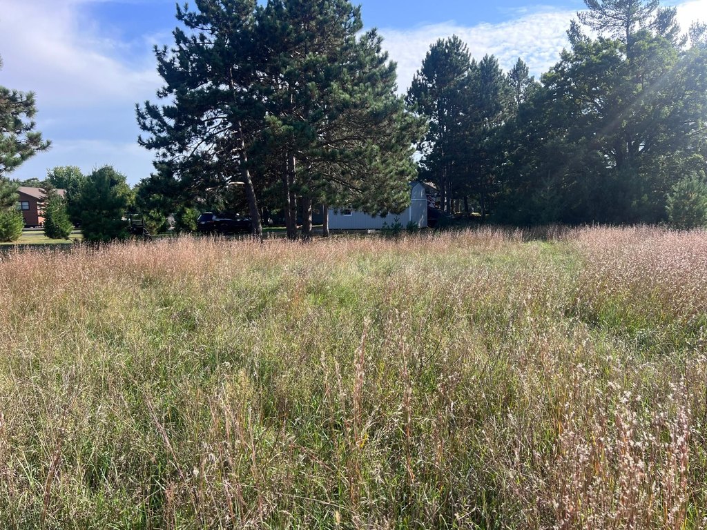 Picture 8