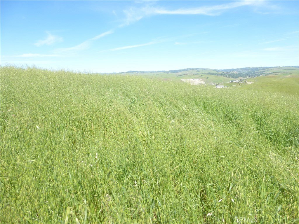 Picture 31