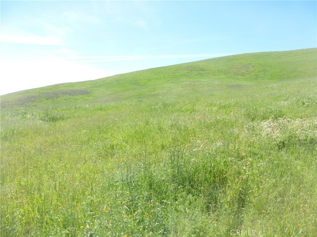 Picture 42