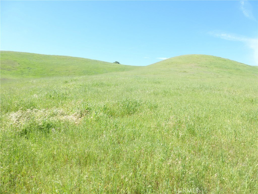 Picture 41