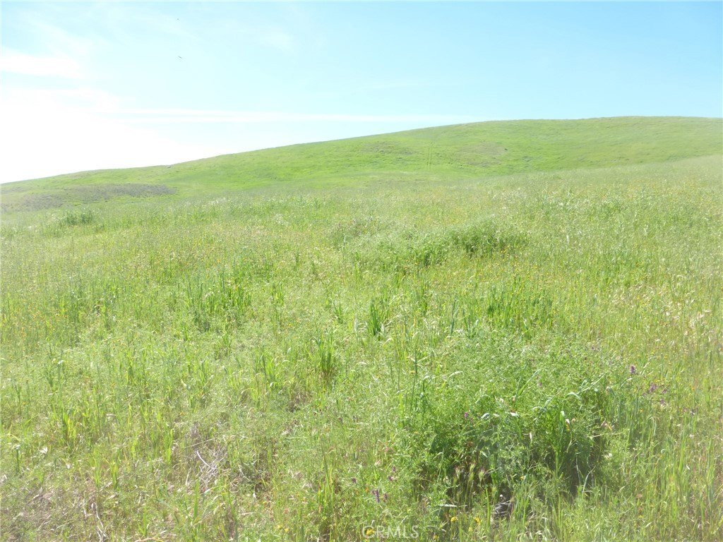 Picture 39