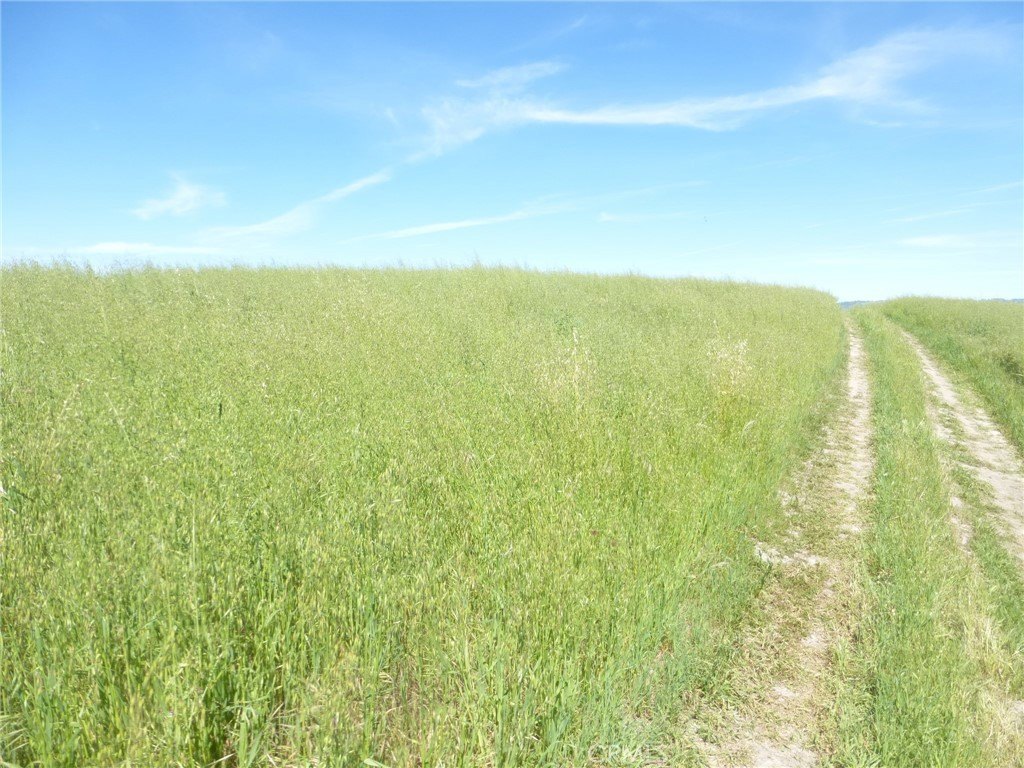 Picture 26