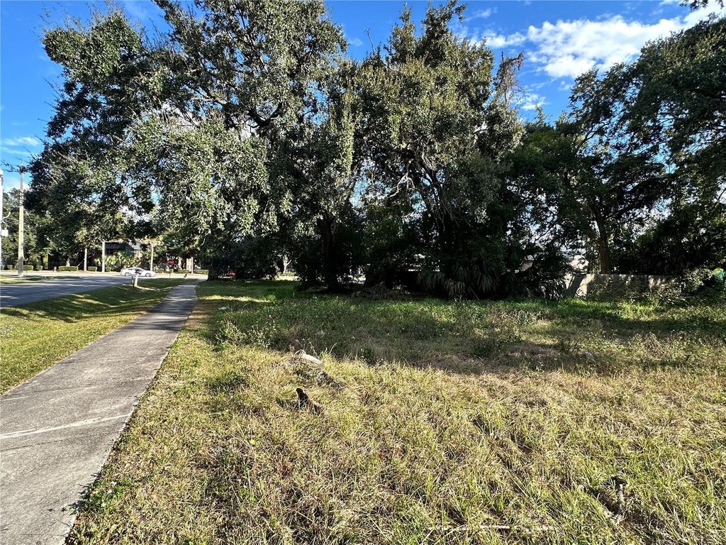 Picture 6