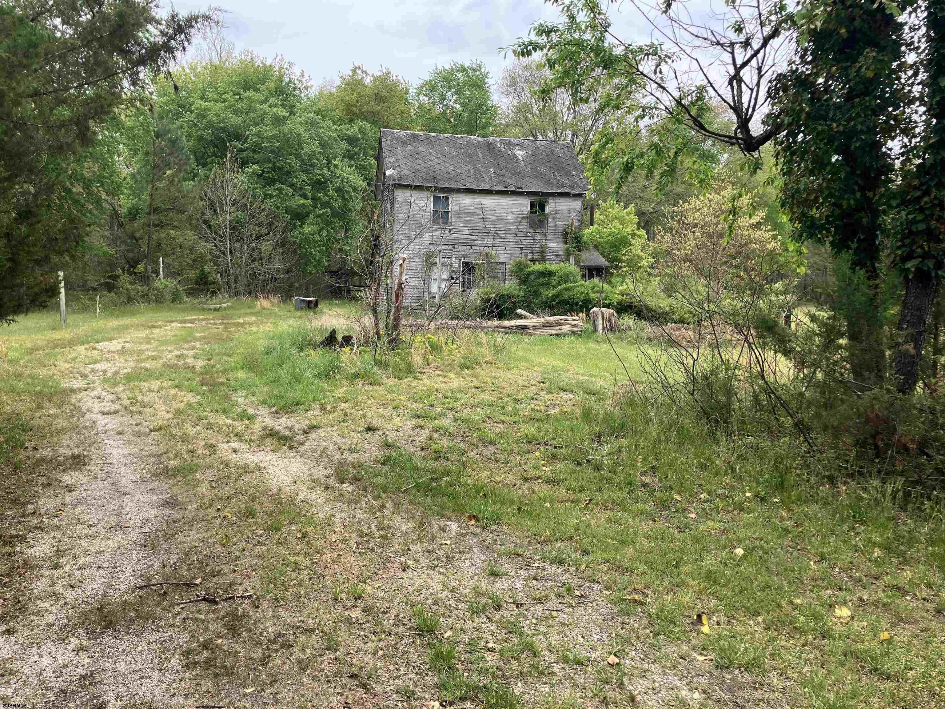 Secluded Woodbine Borough Land Parcel