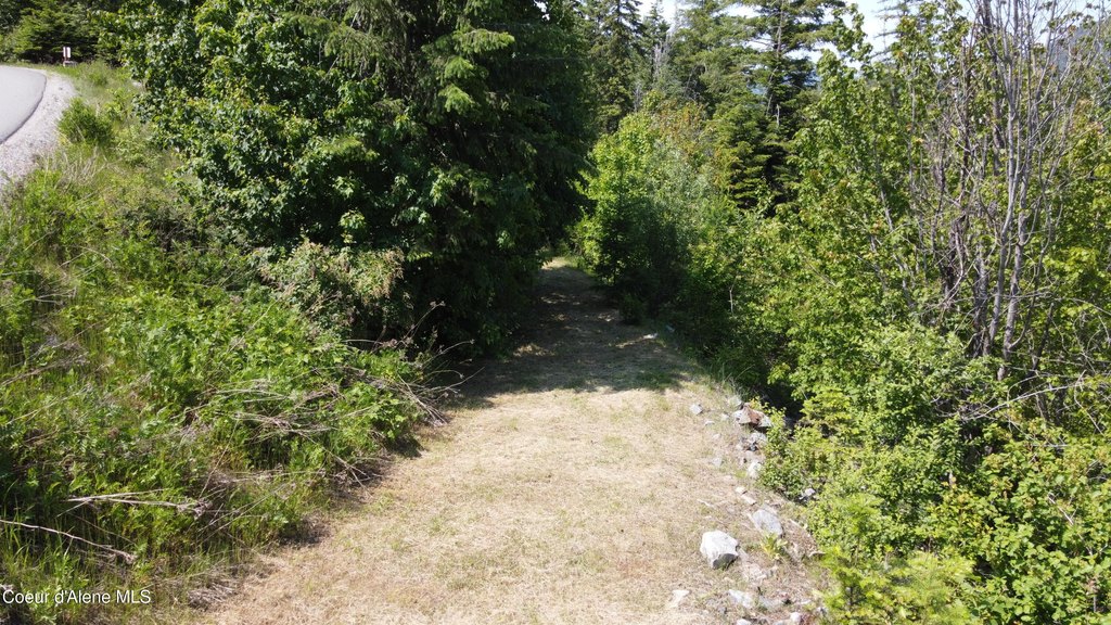Picture 13