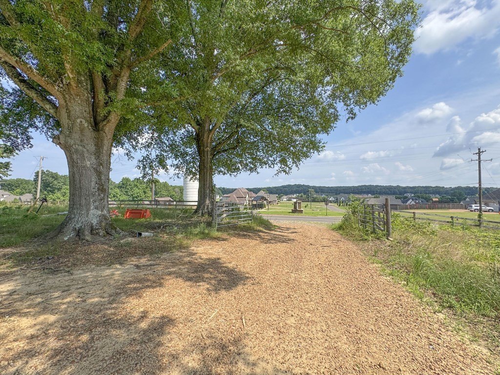 Picture 30