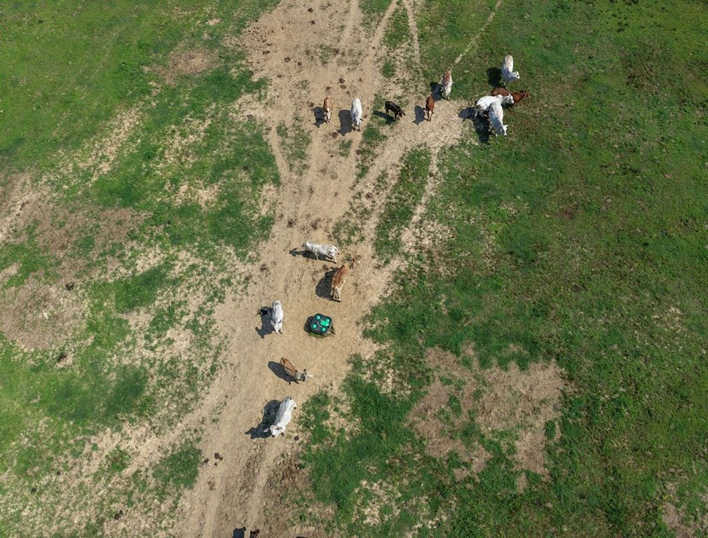 Picture 28